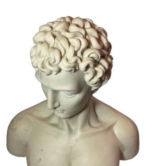 Julius Caesar? Michelangelo's David? Antinous? Hermes? 17" H faux marble Bust - Picture 3 of 9